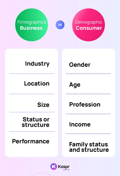 Infographic to show firmographics vs demographics