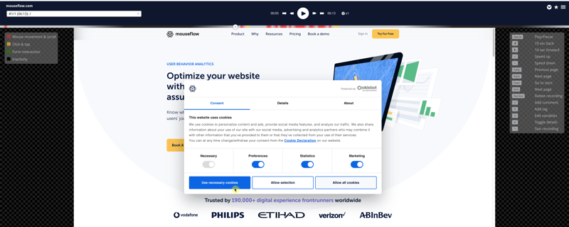 Screenshot of Mouseflow analytics web app