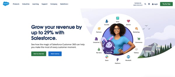 Screenshot of Salesforce website