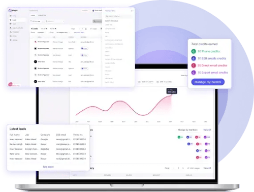 Graphic of Kaspr's credit system and usage stats